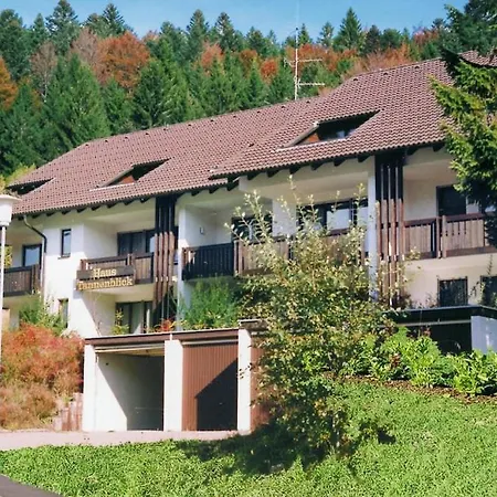 Prázdninový dům Mattle - Dmg10008-gyb Todtmoos